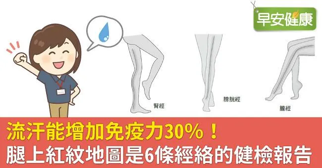 流汗能增加免疫力30％！腿上紅紋地圖是6條經絡的健檢報告