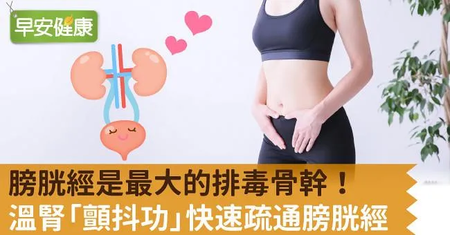 膀胱經是最大的排毒骨幹！溫腎「顫抖功」快速疏通膀胱經