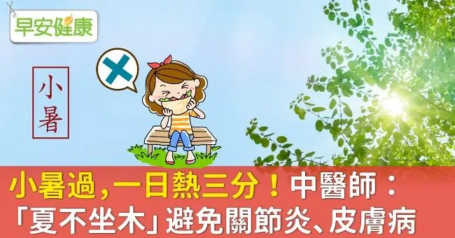 小暑過，一日熱三分！中醫師：「夏不坐木」避免關節炎、皮膚病