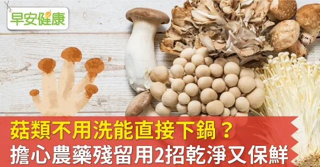 菇類不用洗能直接下鍋？擔心農藥殘留用2招乾淨又保鮮