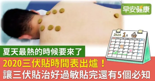 2020三伏貼時間表出爐！讓三伏貼治好過敏貼完還有5個必知