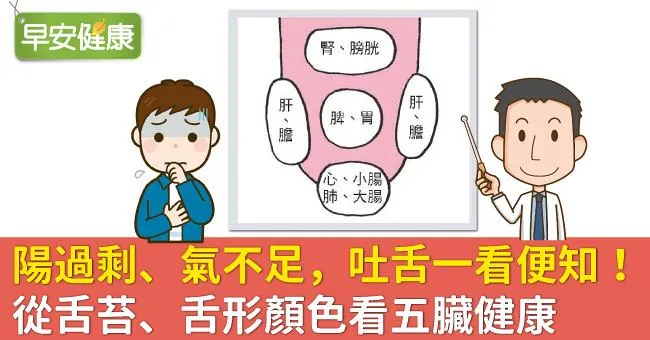 陽過剩、氣不足，吐舌一看便知！從舌苔、舌形顏色看五臟健康