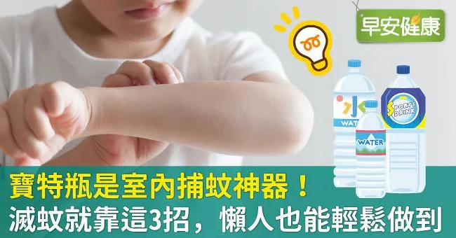 寶特瓶是室內捕蚊神器！滅蚊就靠這3招，懶人也能輕鬆做到