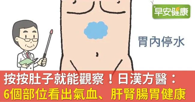 按按肚子就能觀察！日漢方醫：6個部位看出氣血、肝腎腸胃健康