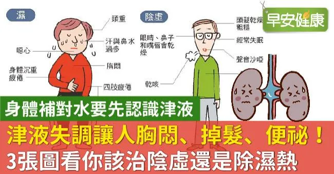 津液失調讓人胸悶、掉髮、便祕！3張圖看你該治陰虛還是除濕熱
