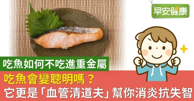 吃魚會變聰明嗎？它更是「血管清道夫」幫你消炎抗失智