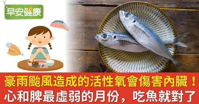 豪雨颱風造成的活性氧會傷害內臟！心和脾最虛弱的月份，吃魚就對了