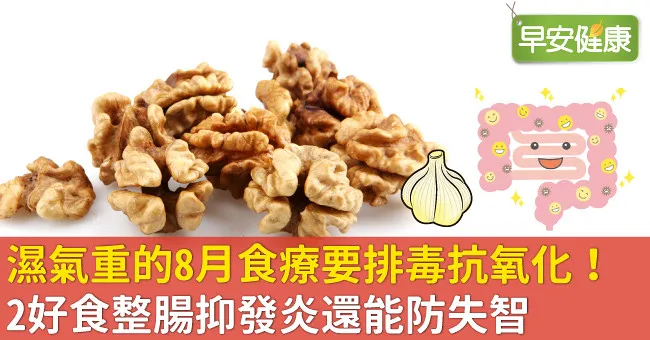 濕氣重的8月食療要排毒抗氧化！2好食整腸抑發炎還能防失智