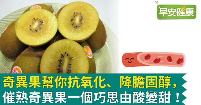 奇異果幫你抗氧化、降膽固醇，催熟奇異果一個巧思由酸變甜！