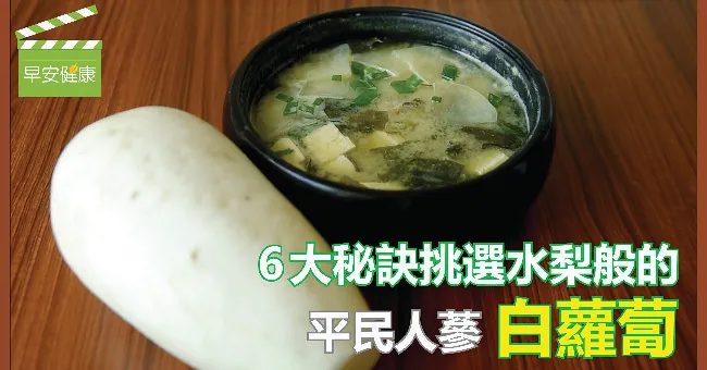 平民人蔘，6大秘訣挑選水梨般的白蘿蔔