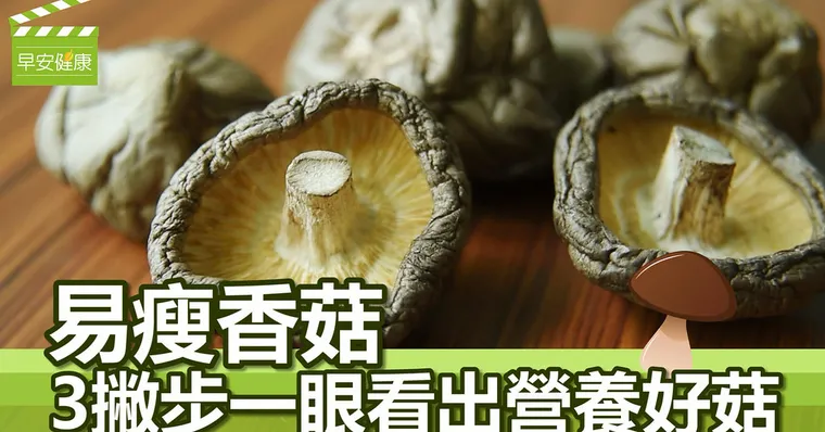 易瘦香菇，3撇步一眼看出營養好菇