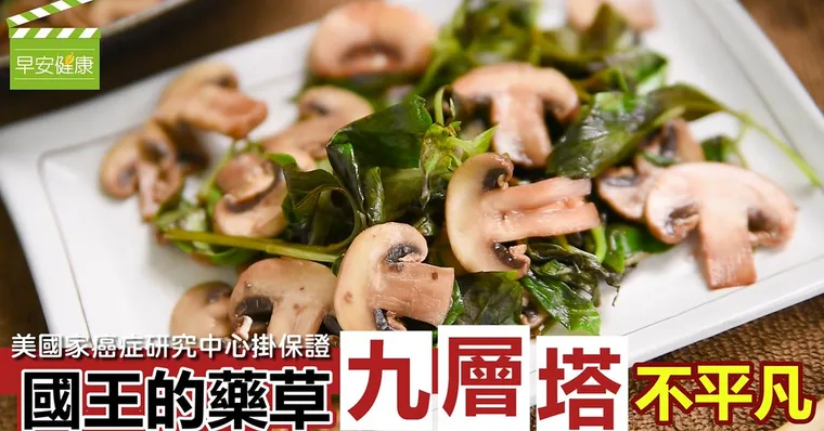 美國家癌症研究中心掛保證，國王的藥草「九層塔」不平凡