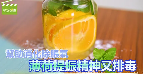 幫助消化排脹氣，薄荷提振精神又排毒