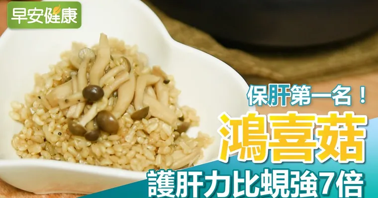 保肝第一名！鴻喜菇護肝力比蜆強7倍