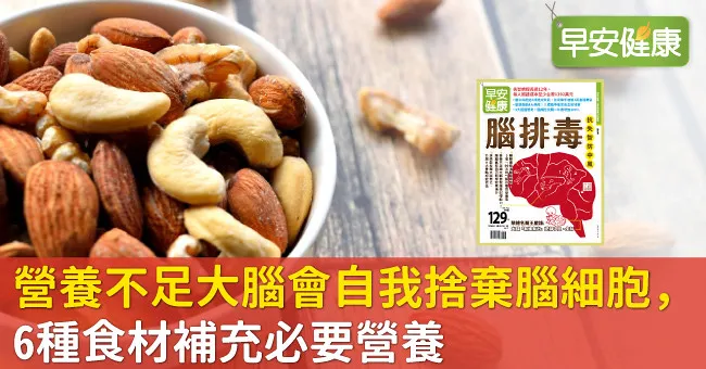 營養不足大腦會自我捨棄腦細胞，6種食材補充必要營養