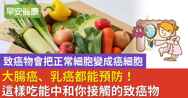 大腸癌、乳癌都能預防！這樣吃能中和你接觸的致癌物