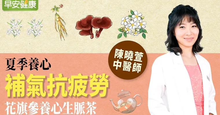 夏季養心，補氣抗疲勞，花旗參養心生脈飲｜陳曉萱中醫師