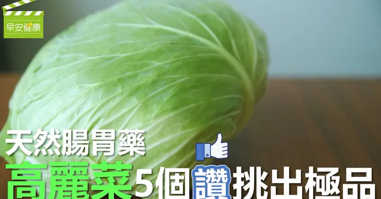 天然腸胃藥「高麗菜」，5個讚挑出極品