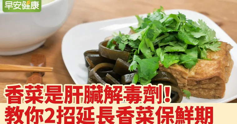 香菜是肝臟解毒劑！延長香菜保鮮期2招保持翠綠不變黑