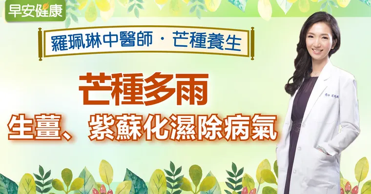 芒種多雨，生薑、紫蘇化濕除病氣｜羅珮琳醫師｜芒種養生