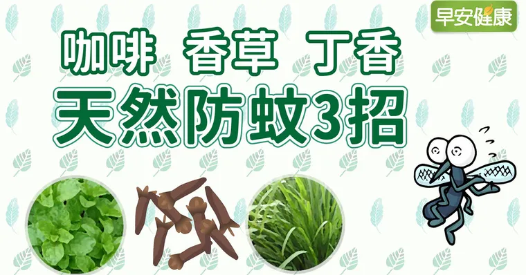 天然防蚊3招：咖啡、香草、丁香