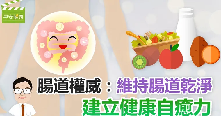 腸道權威：維持腸道乾淨  建立健康自癒力！