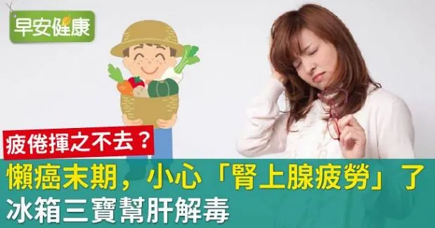 懶癌末期，小心「腎上腺疲勞」了！冰箱三寶幫肝解毒