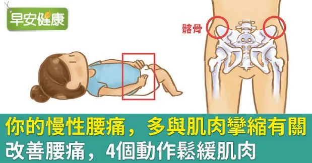 你的慢性腰痛，多與肌肉攣縮有關：改善腰痛，4個動作鬆緩肌肉