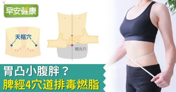 胃凸小腹胖？脾經4穴道排毒燃脂