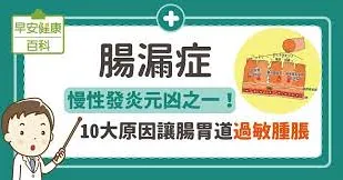 腸漏症：慢性發炎元凶之一！10大原因讓腸胃道過敏腫脹
