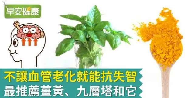 不讓血管老化就能抗失智，最推薦薑黃、九層塔和它