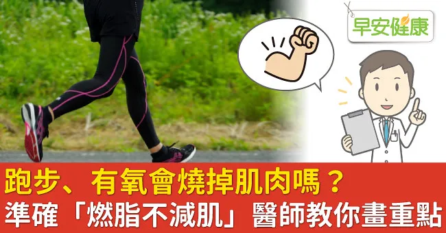 跑步、有氧會燒掉肌肉嗎？準確「燃脂不減肌」醫師教你畫重點