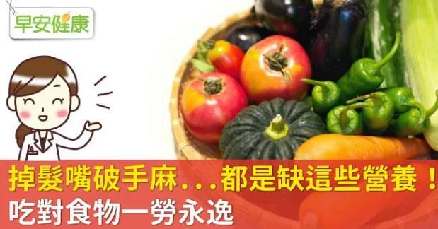 掉髮嘴破手麻...都是缺這些營養！吃對食物一勞永逸