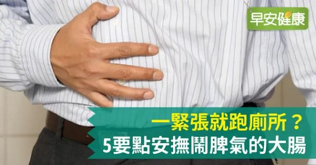 一緊張就跑廁所？5要點安撫鬧脾氣的大腸