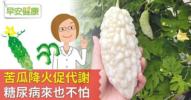 苦瓜降火促代謝，糖尿病來也不怕