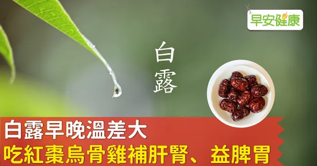 白露早晚溫差大 吃紅棗烏骨雞補肝腎、益脾胃