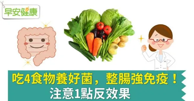 吃4食物養好菌，整腸強免疫！注意1點反效果