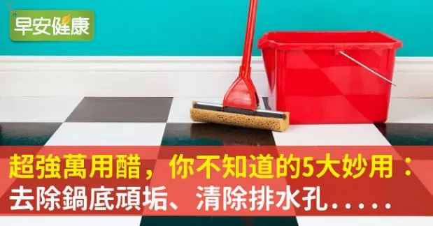 超強萬用醋，你不知道的5大妙用：去除鍋底頑垢、清除排水孔.....