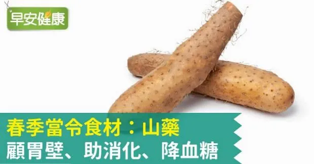 春季當令食材：山藥 顧胃壁、助消化、降血糖