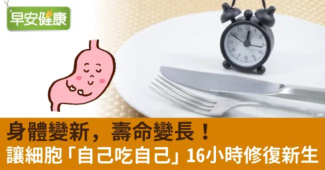 身體變新，壽命變長！讓細胞「自己吃自己」16小時修復新生