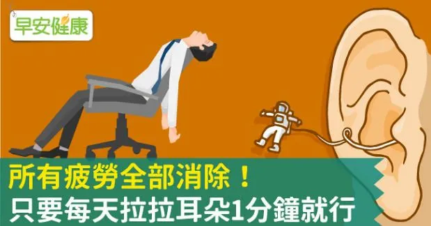 所有疲勞全部消除！只要每天拉拉耳朵1分鐘就行