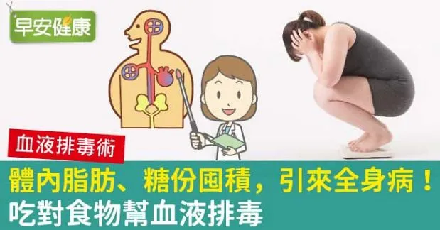 體內脂肪、糖份囤積，引來全身病！吃對食物幫血液排毒