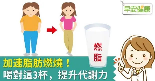 加速脂肪燃燒！喝對這3杯，提升代謝力