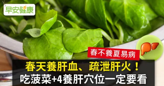 春天養肝血、疏泄肝火！吃菠菜+4養肝穴位一定要看