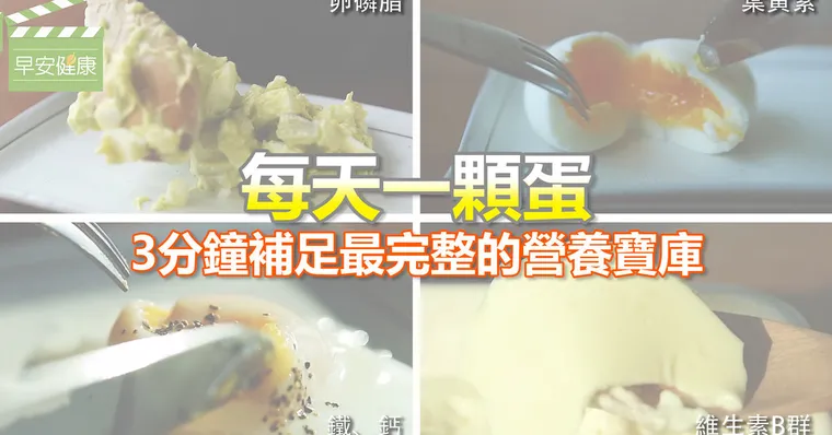 每天一顆蛋蛋，3分鐘補足最完整的營養寶庫