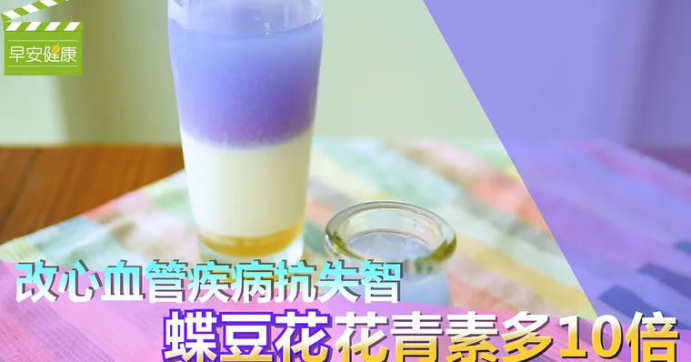 改善心血管疾病抗失智，蝶豆花花青素多10倍