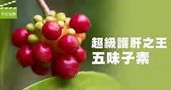 這族群女性更要預防脂肪肝！護肝之王五味子