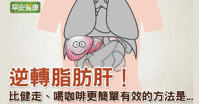 逆轉脂肪肝！比健走、喝咖啡更簡單有效的方法是…