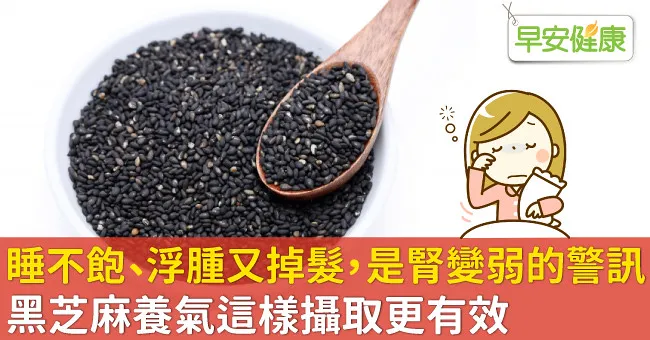 睡不飽、浮腫又掉髮，是腎變弱的警訊！黑芝麻養氣這樣攝取更有效