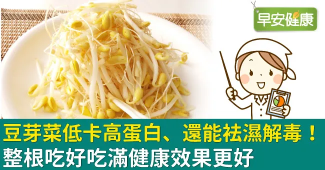 豆芽菜低卡高蛋白、還能袪濕解毒！整根吃好吃滿健康效果更好
